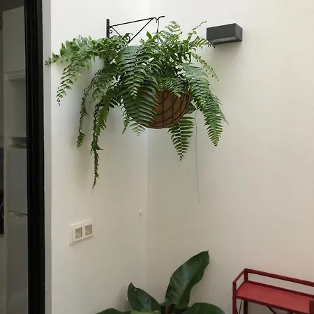 Lejlighed Dragos - Planta 2 Las Palmas de Gran Canaria
