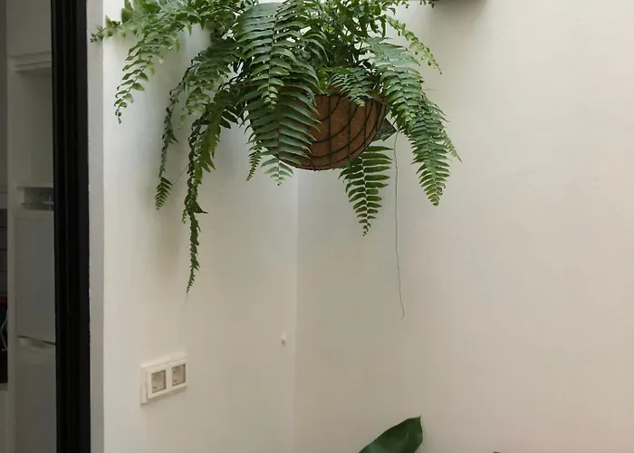 아파트 Dragos - Planta 2 라스팔마스